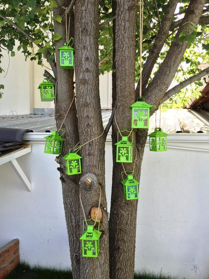 Casa Pallet Hotel (Adults Only) Dalyan Εξωτερικό φωτογραφία